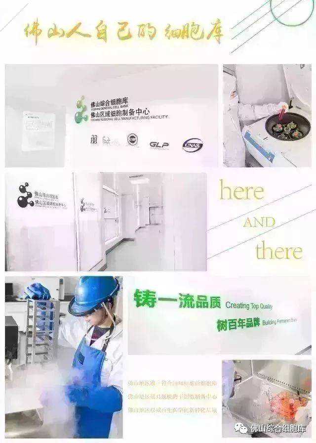 为什么胚胎只能体外培养到最多14天？