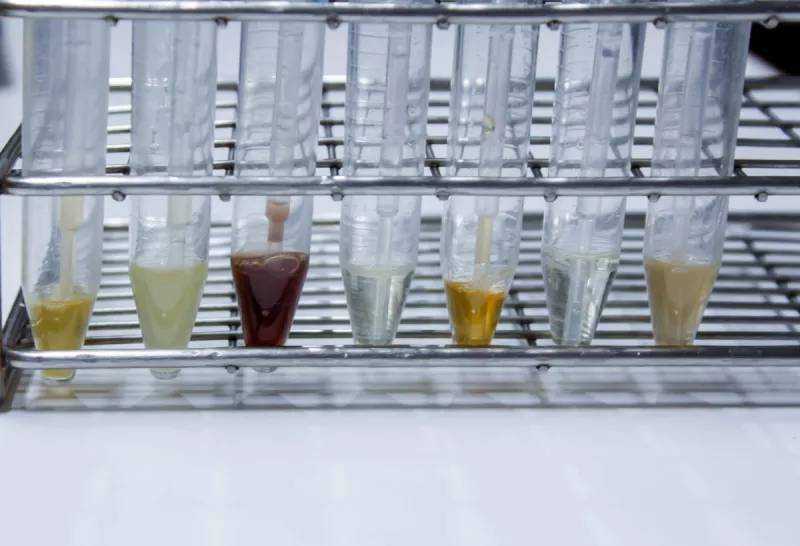 《自然》：揭秘癌最强基因RAS促癌新机制！RAS启动后使干细胞和微环境沟通陷入混乱