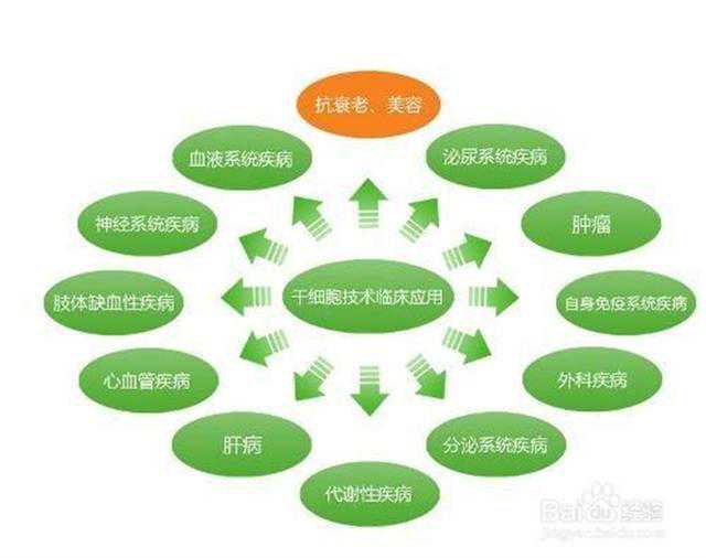 广东首例！地贫患者迎来新希望