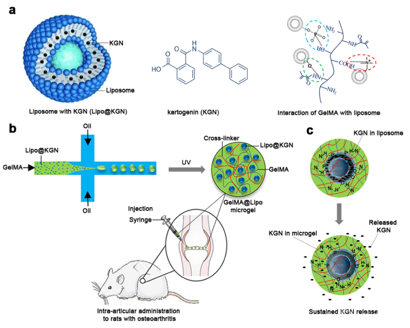 上海张江细胞产业园活力凸显 张文宏：“大家如果要转化，请到张江来”