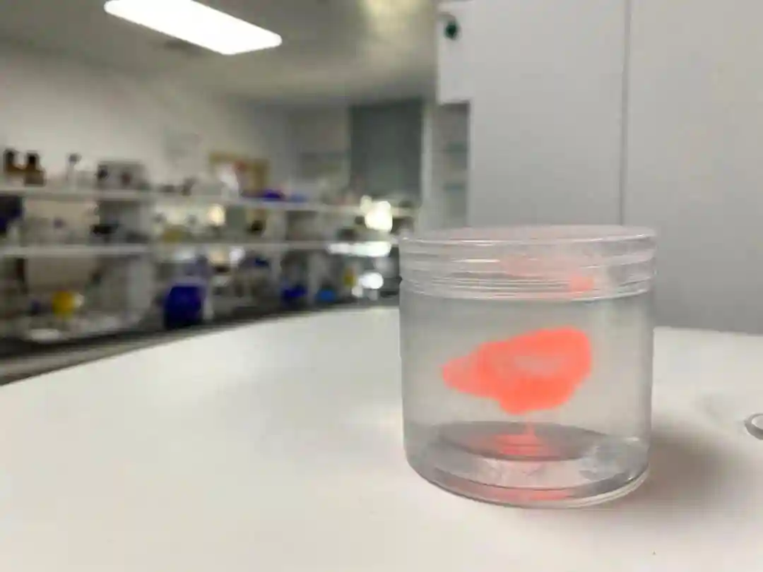 覆盖90%人体组织和器官，闵行这家生物3D打印企业“很科幻”